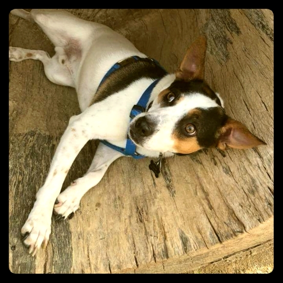 Meet your Posher, Melanie - Picture 1 of 1